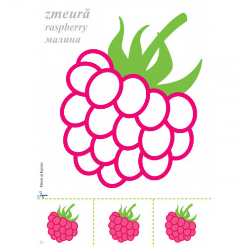 Fructe și legume (cu foi detașabile)