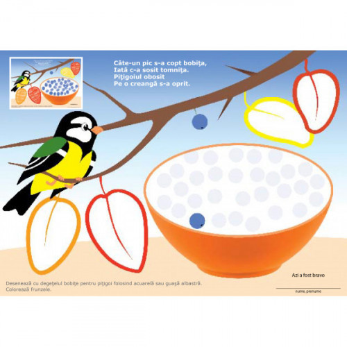 Mapa celor mici (cu foi detașabile)