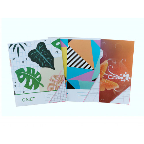 Caiet 24 foi patratele (brosat)