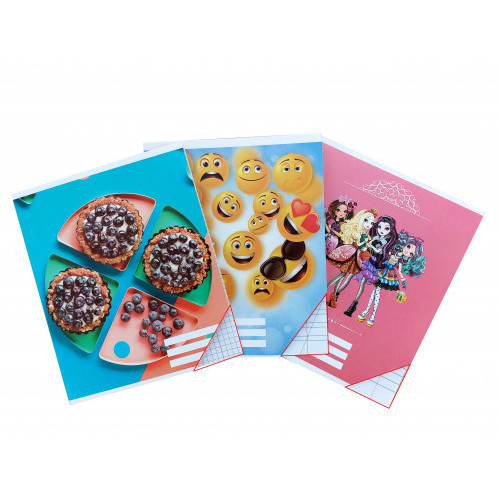 Caiet 12 foi linie mica (carton)