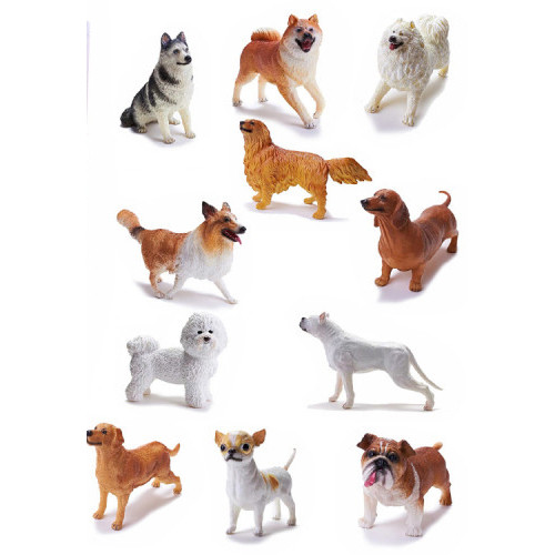 Câine de Rasă (1buc)