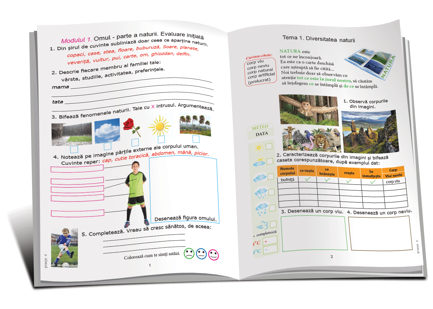 Științe cl.4 (carte-caiet)