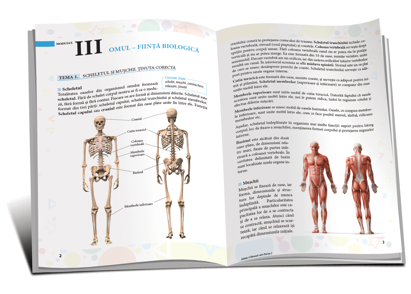 Științe clasa a 4-a Manual lucrativ (patrea 2)