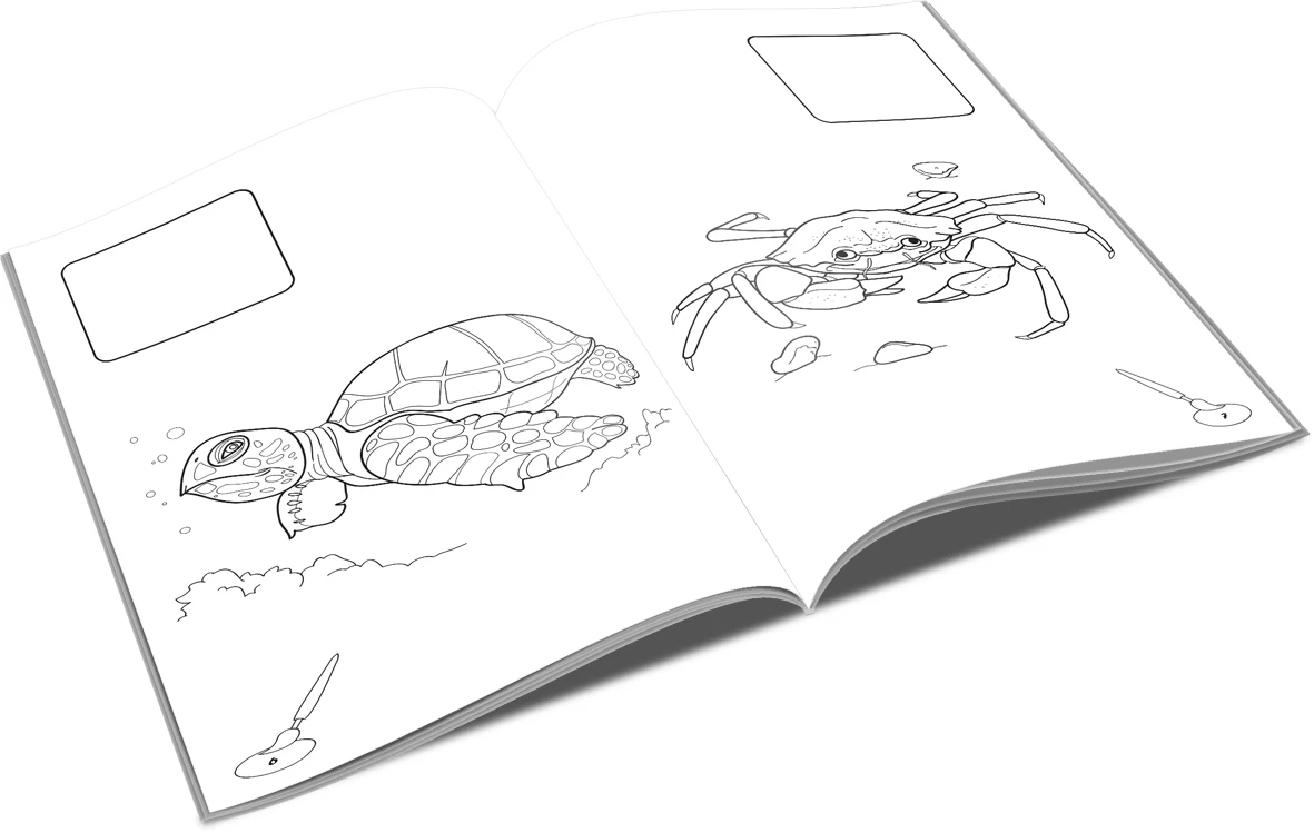 Lipim și colorăm - Animale marine