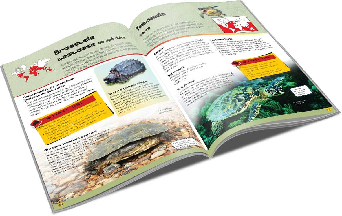 Reptile - Lumea animalelor