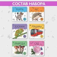 Шоубокс Мир в картинках