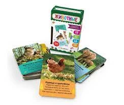 Умные карточки. Животные. 16 карт
