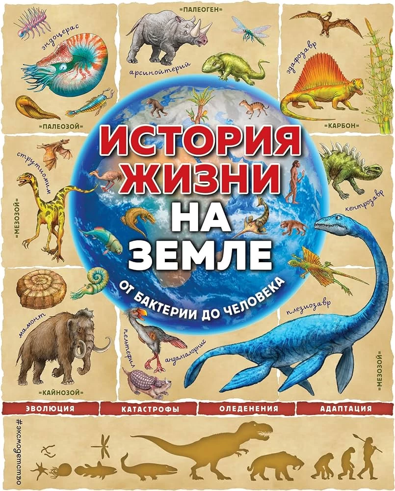 История жизни на Земле. От бактерии до человека