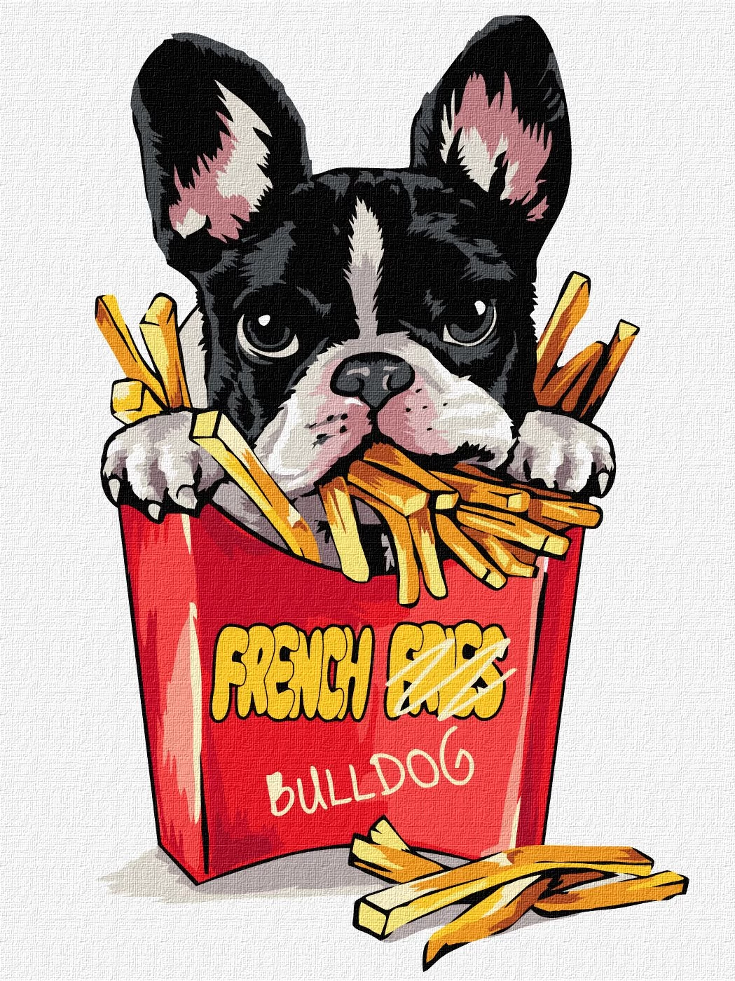 Tablou pe numere "Bulldog mic" 30x40cm KHO4302