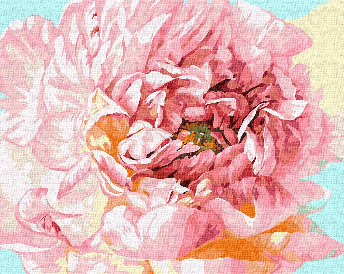 Tablou pe numere "Bujor" 40x50cm KHO2996