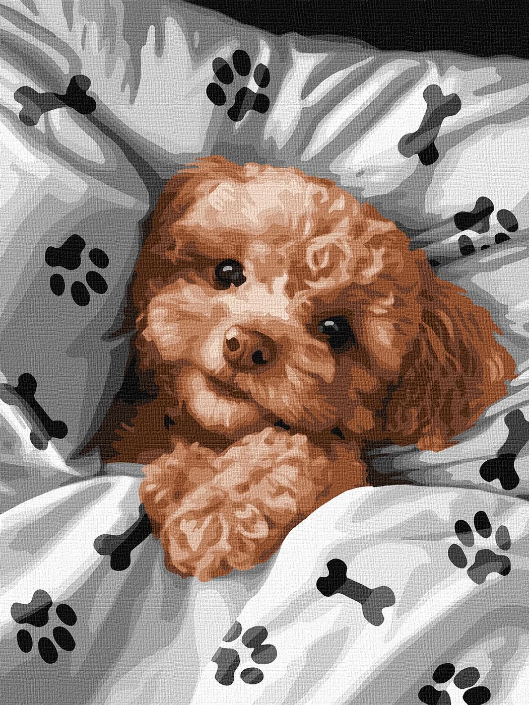 Tablou pe numere „Maltipoo draguț” 30x40cm KHO6538