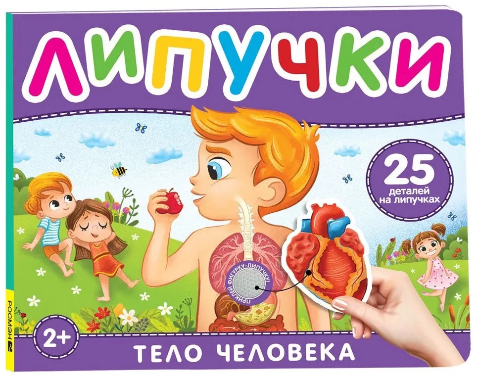 Тело человека. Книга с липучками