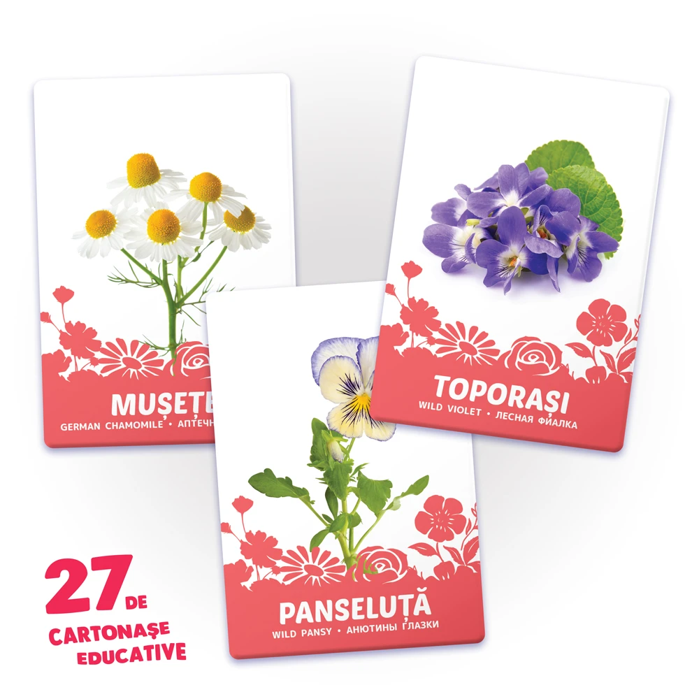 27 de cartonașe. Flori