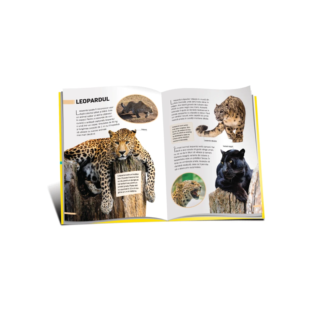 Enciclopedie. Animale