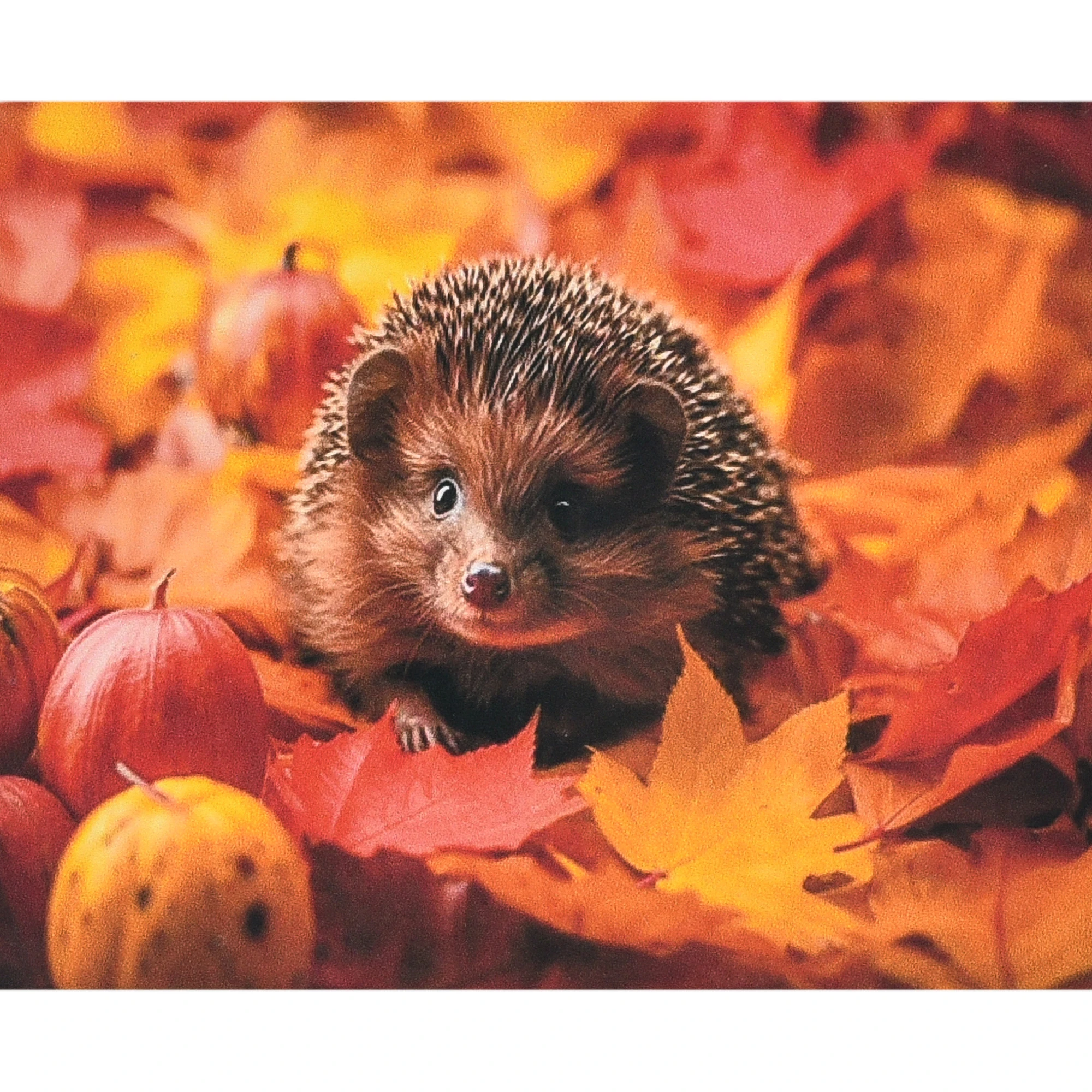 Mozaica cu Diamante 40x50 cm "Toamna în spini"