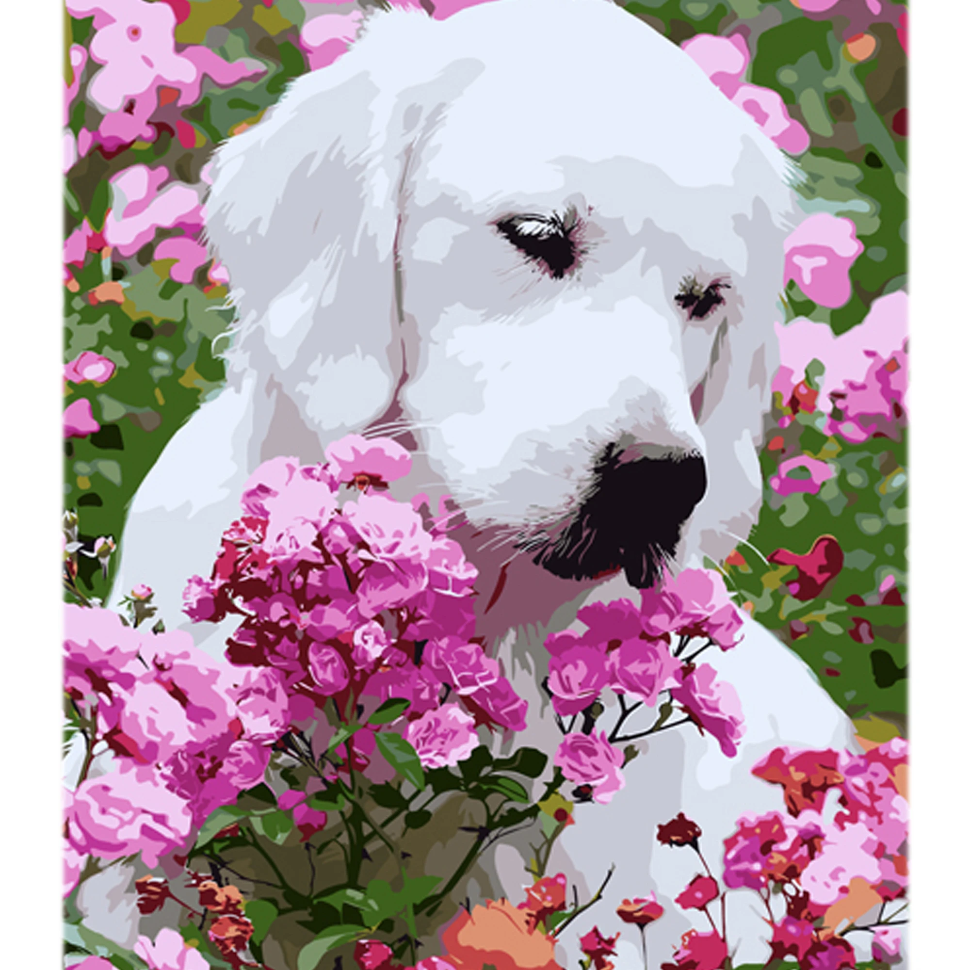 Tablou pe numere 40x50 cm "Poznașul"