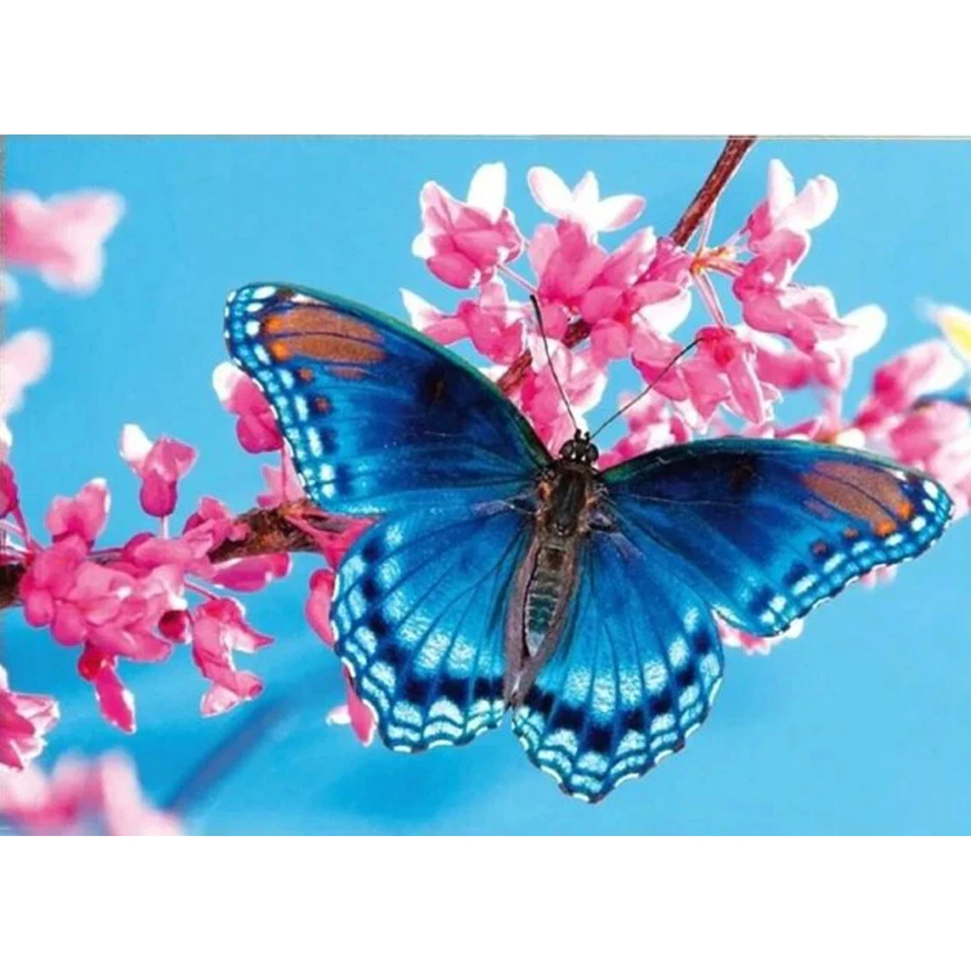Mozaica cu Diamante 30x40 cm "Fluture pe ramură"
