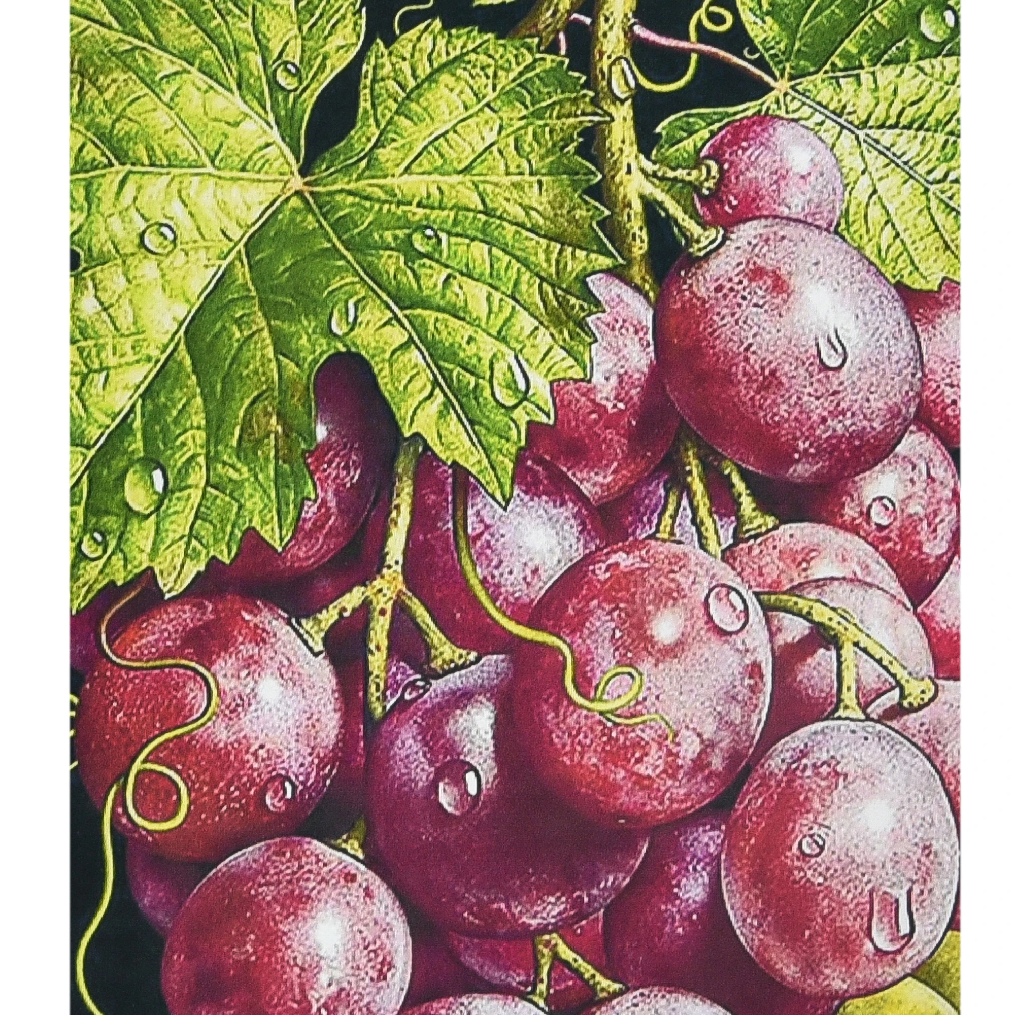 Mozaica cu Diamante 30x40 cm "Struguri de poamă"