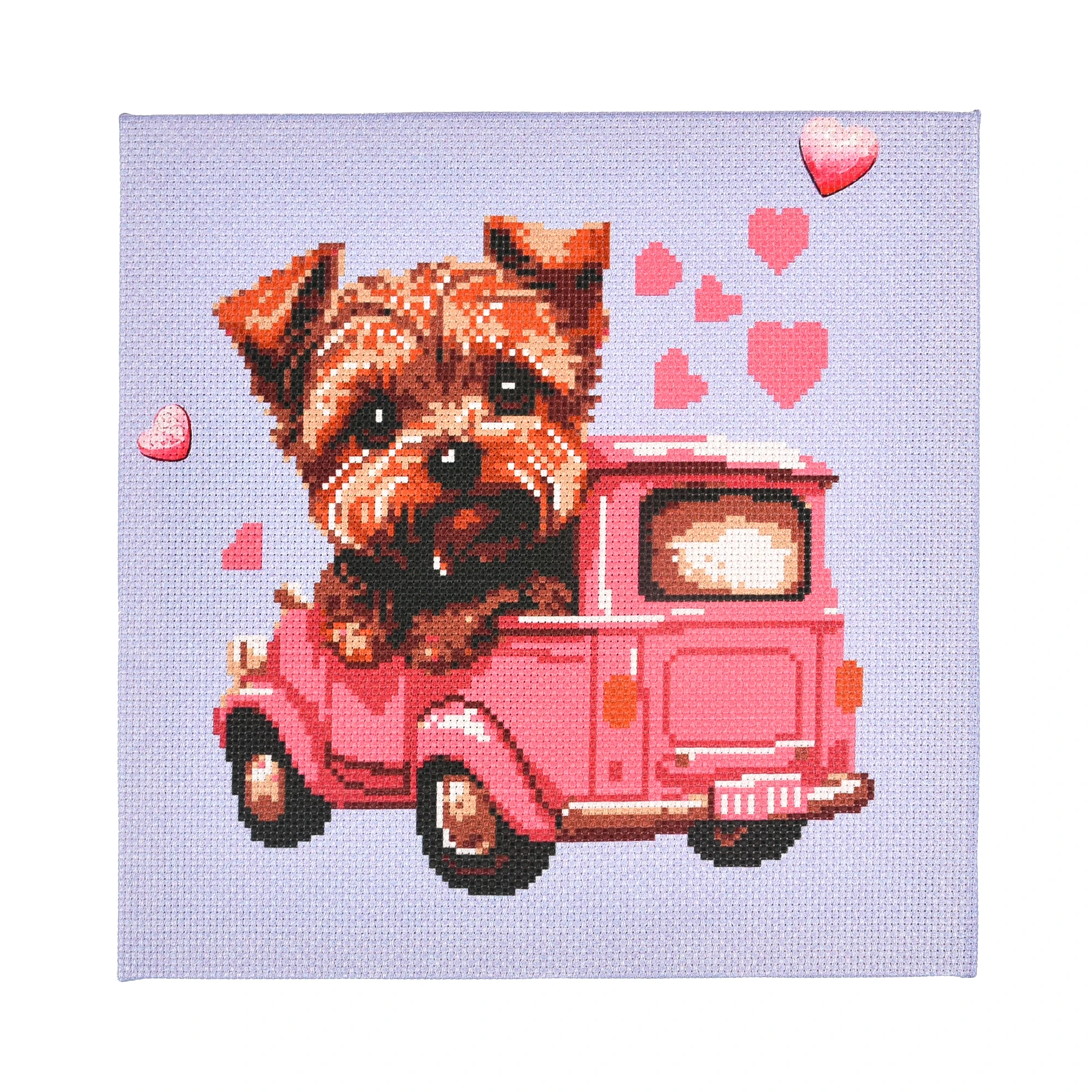 Broderie 30x30 cm "Cațel la volan"