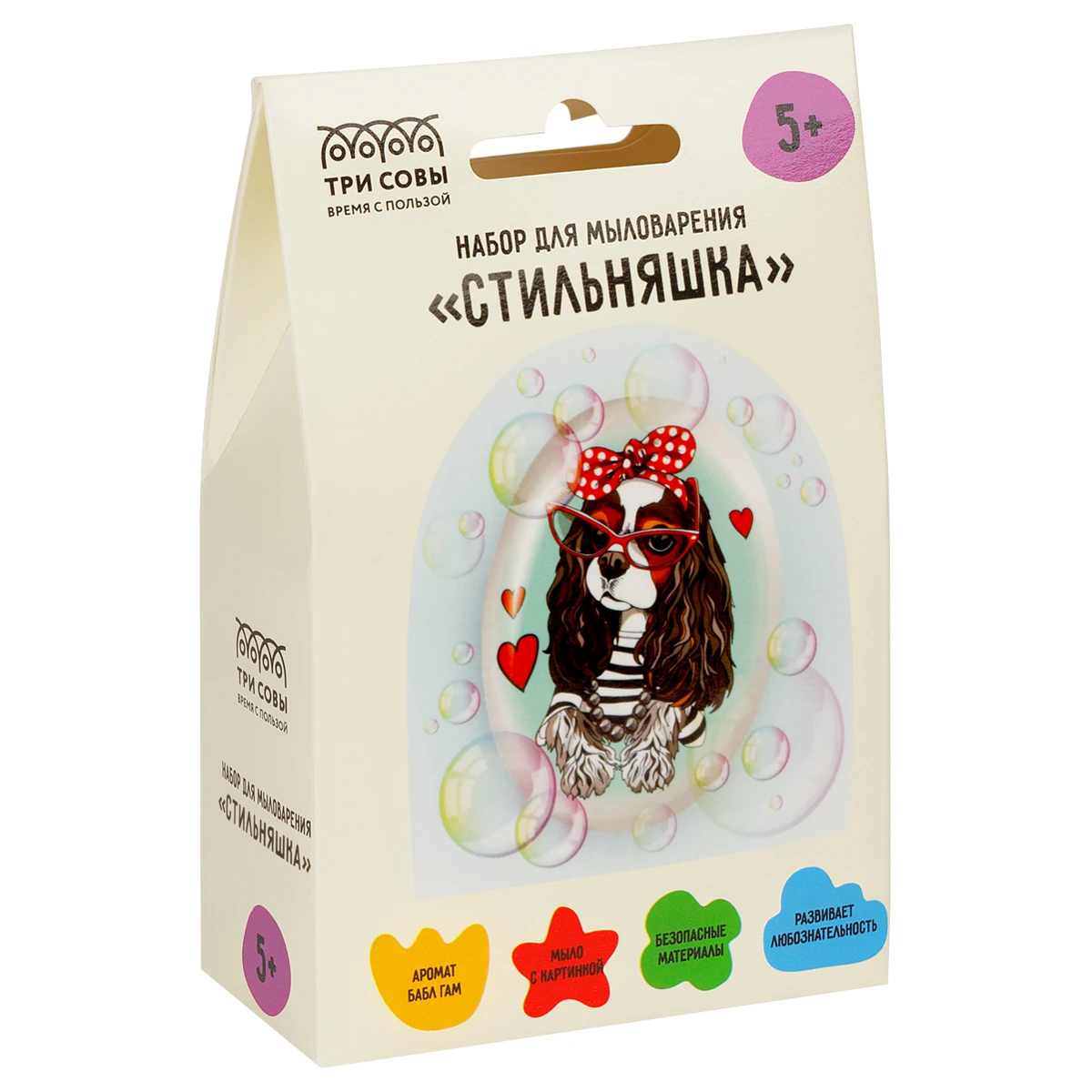 Set de făcut săpun "Cu stil" ТРИ СОВЫ