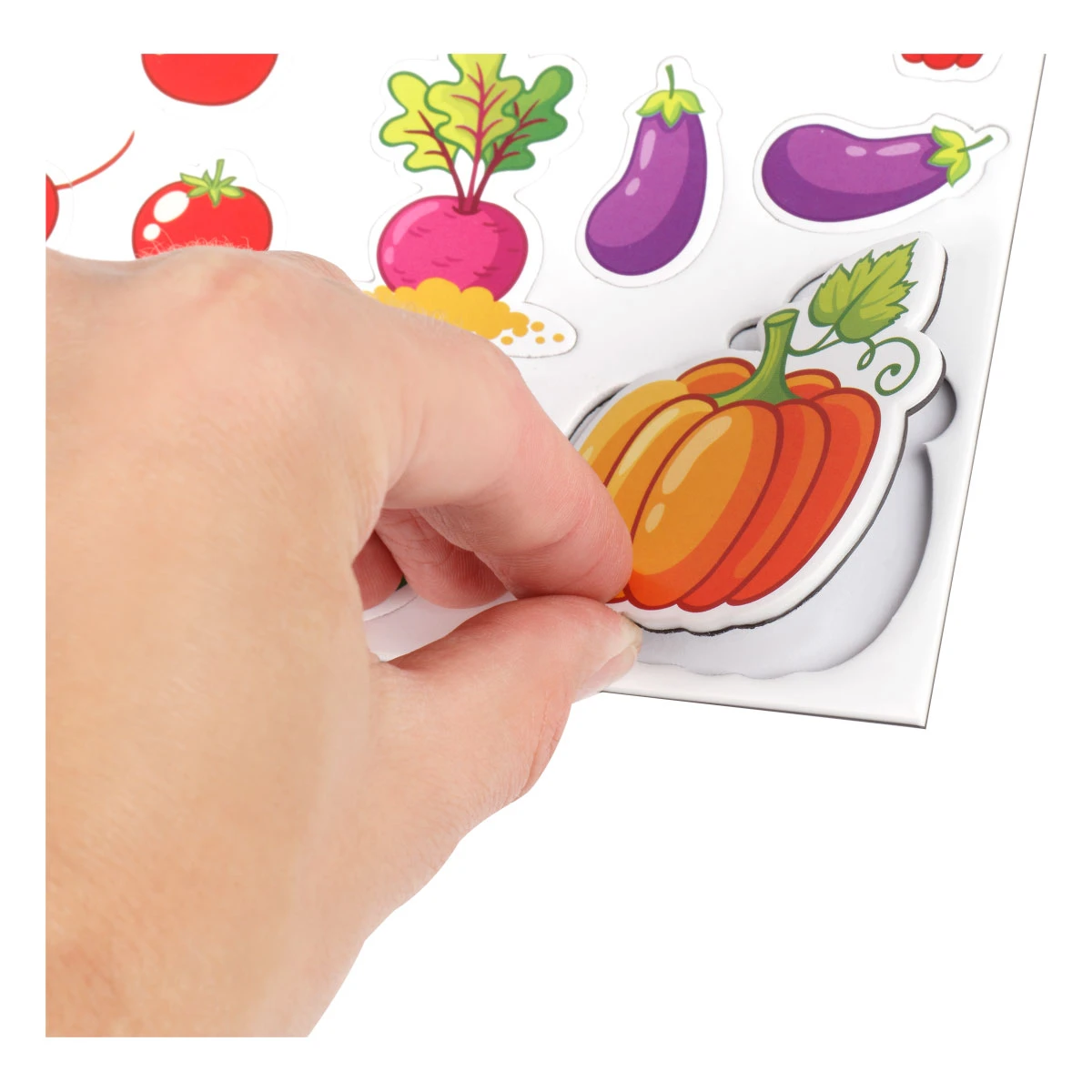 Joc educativ cu magneti "Gradina" 52el. ТРИ СОВЫ