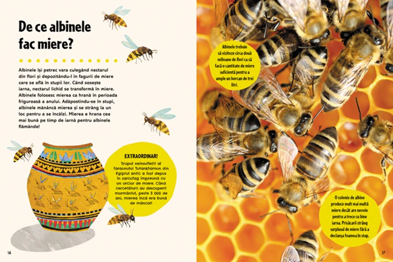 Britannica. Prima mea mare Enciclopedie