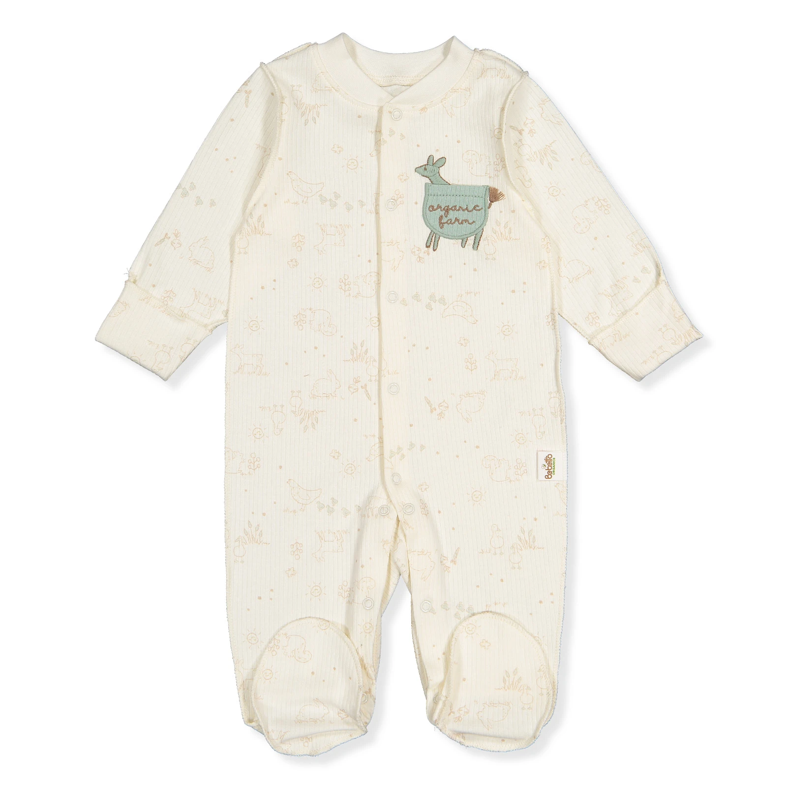 Organic body Dino baieti