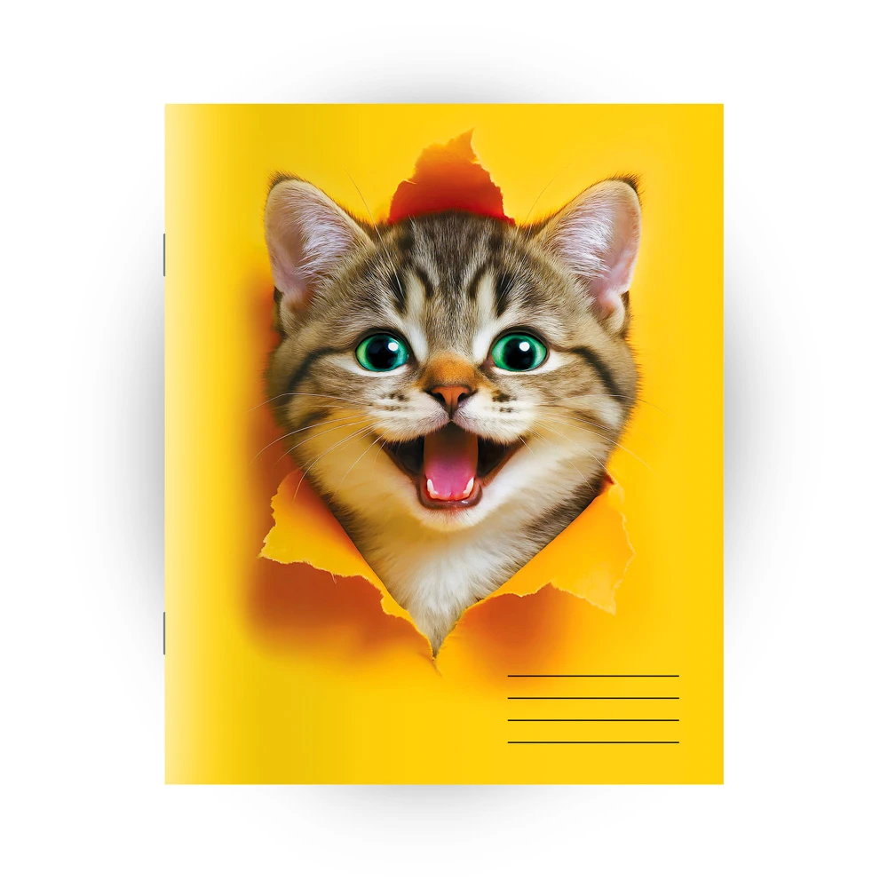 Caiet  48 foi patratele (Dorinta)