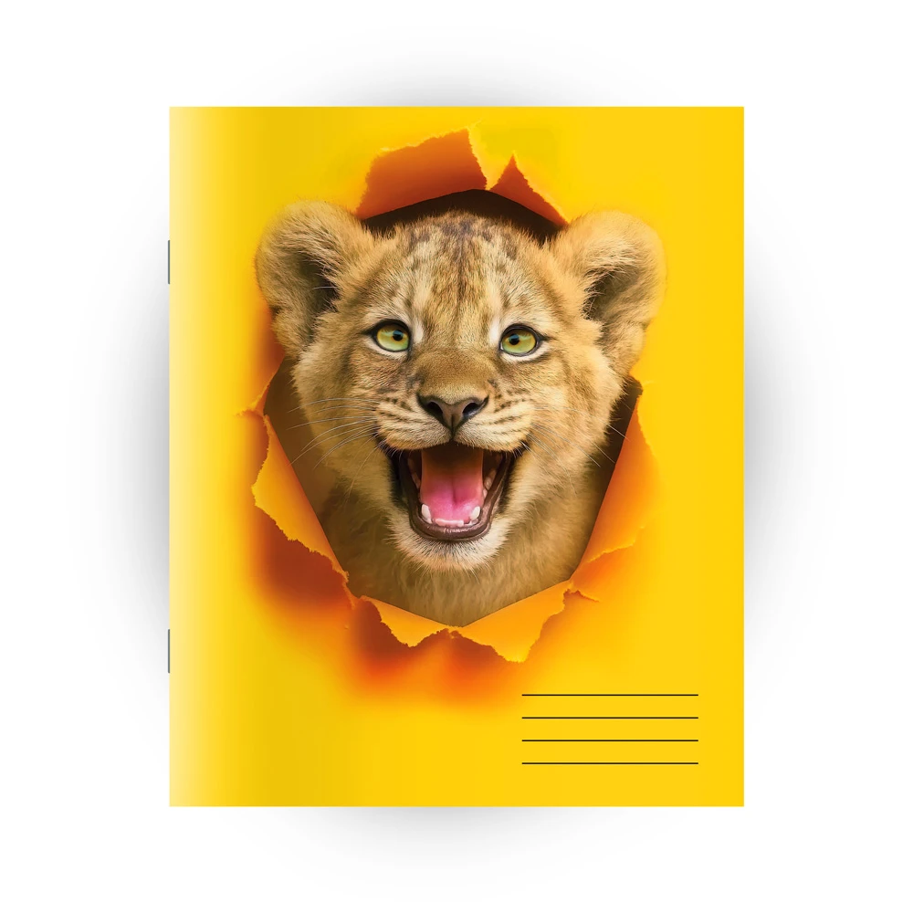 Caiet  48 foi patratele (Dorinta)