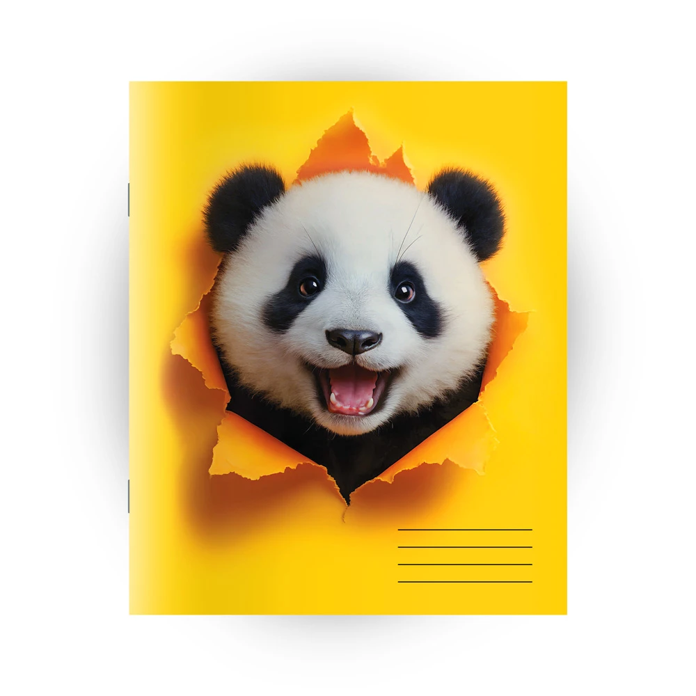 Caiet  48 foi patratele (Dorinta)