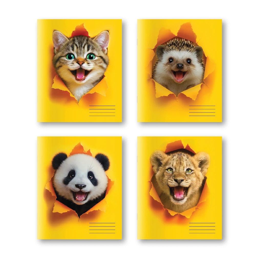 Caiet 48 foi patratele (Dorinta)