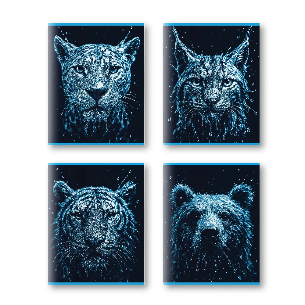 Caiet 96 foi linie mare (Dorinta)