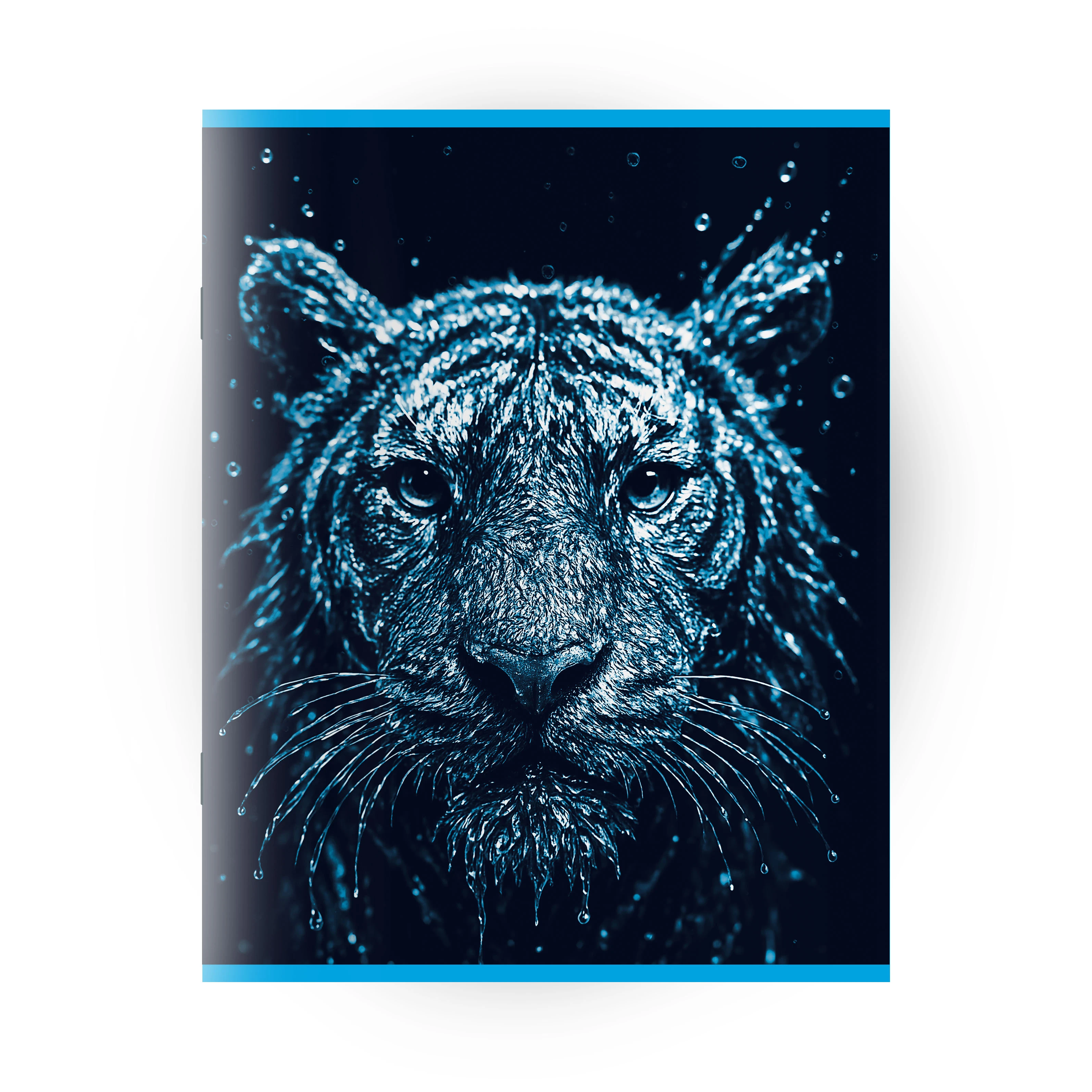 Caiet 96 foi linie mare (Dorinta)