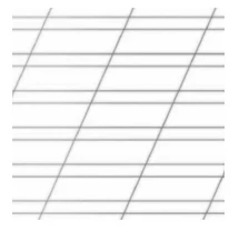 Caiet 24 foi Euro linie oblica rara (Dorinta)