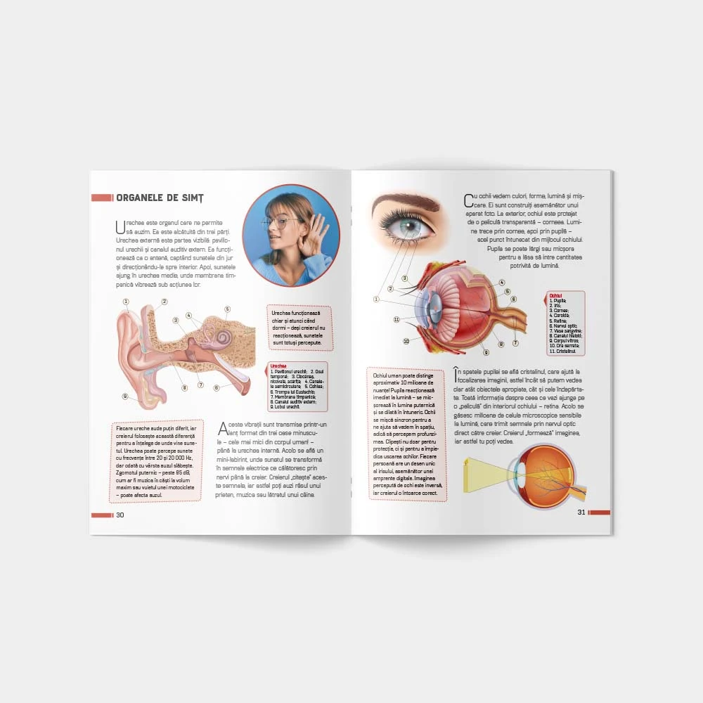 Enciclopedie. Corpul uman