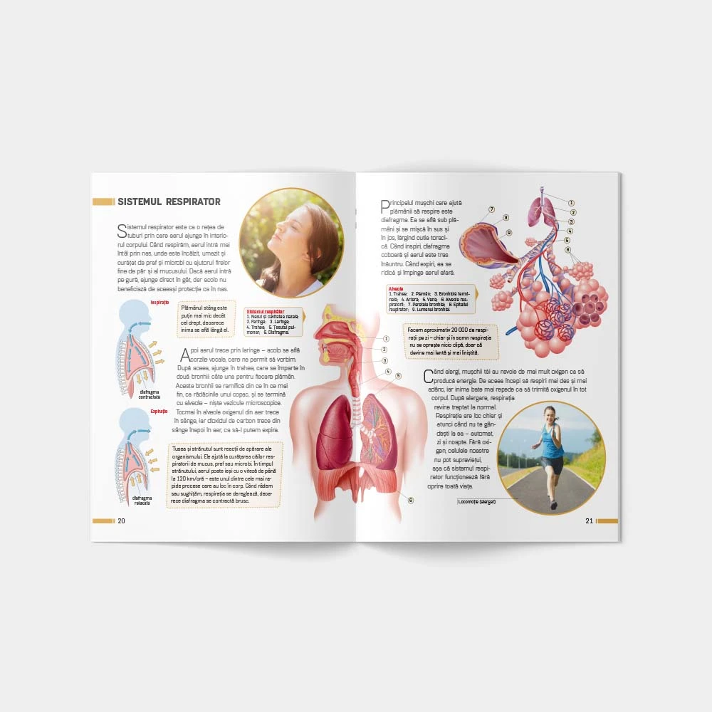 Enciclopedie. Corpul uman