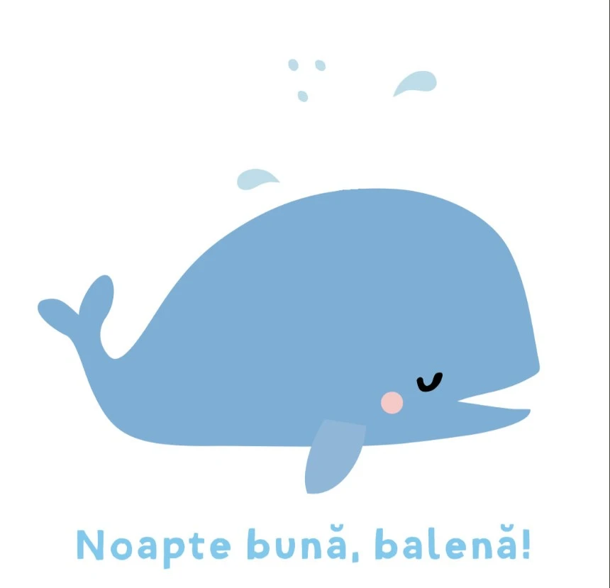 Cărticica mea pentru cărucior. Atinge & simte. Noapte bună!