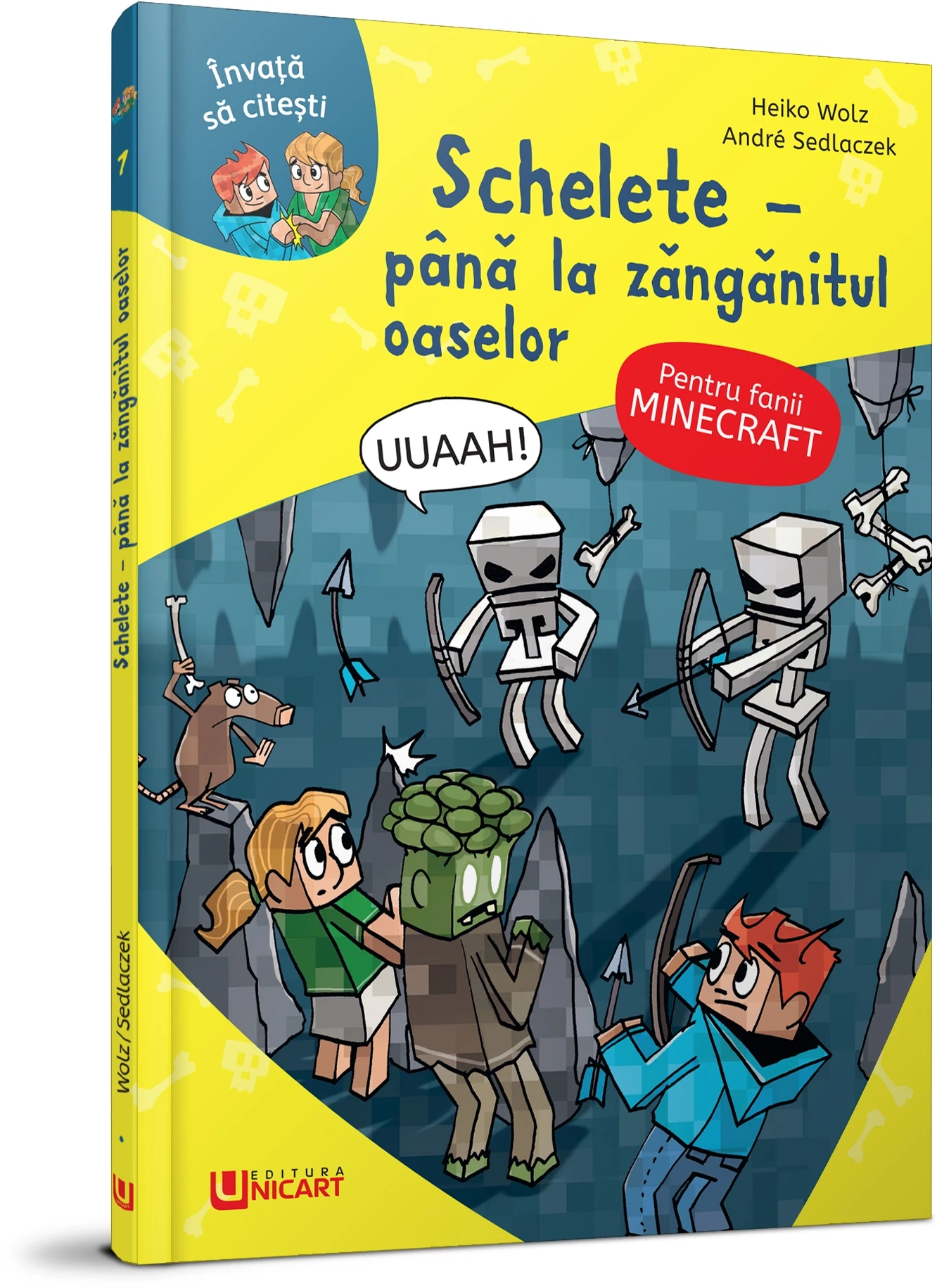 Minecraft - schelete - Pana la canionul oaselor