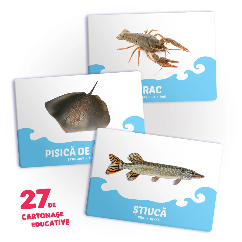 27 de cartonase. Animale de apa