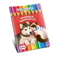 Colorez Animale domestice
