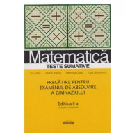 Matematică. Teste sumative cl.9