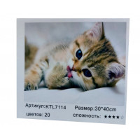 Pictura pe numere 30x40 KTL7114