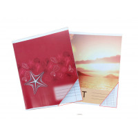 Caiet 36 foi linie mare (carton)