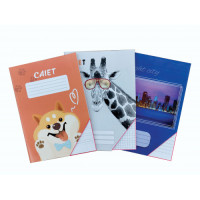 Caiet euro 24 foi linie mare (brosat)