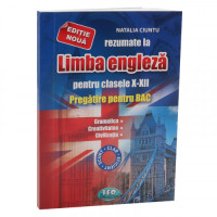 Rezumate la limba engleză BAC cl.10-12