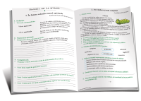 Educatia moral-spirituala: clasa 4-a