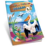 Lipim și colorăm - Păsări