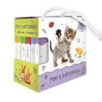 Шоубокс Мир в картинках