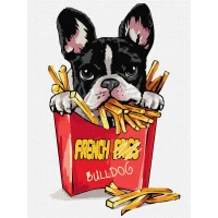 Tablou pe numere "Bulldog mic" 30x40cm KHO4302