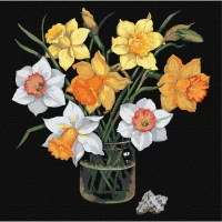 Tablou pe numere "Narcise insorite" 40x40cm KHO3217